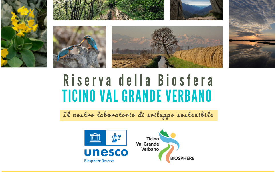 News Dalla Riserva Mab Unesco Ticino Val Grande Verbano