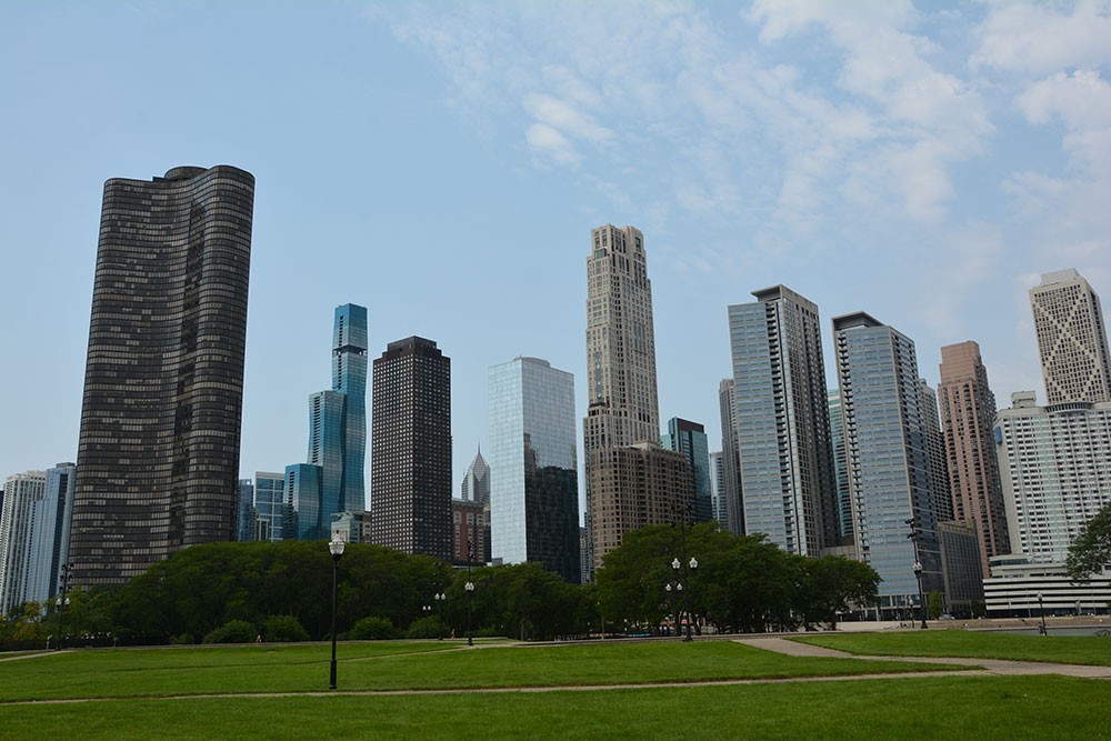 Chicago's Urban Forest