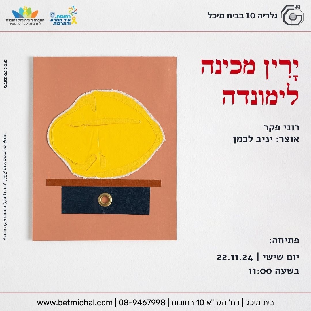 ירין מכינה לימונדה | רוני פקר. פתיחה: יום שישי 15.11