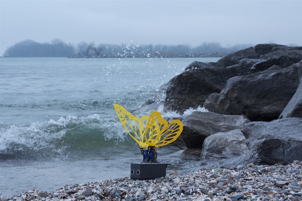 Robot Butterfly with yellow wings on the shores of Lake Ontario, with fog blurring the trees in the background