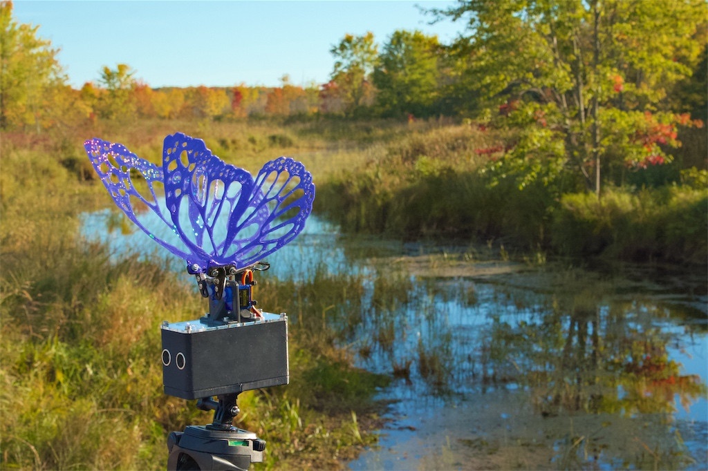Robot Butterfly with purple wings, with a meandering creek in the background with the autumn colours