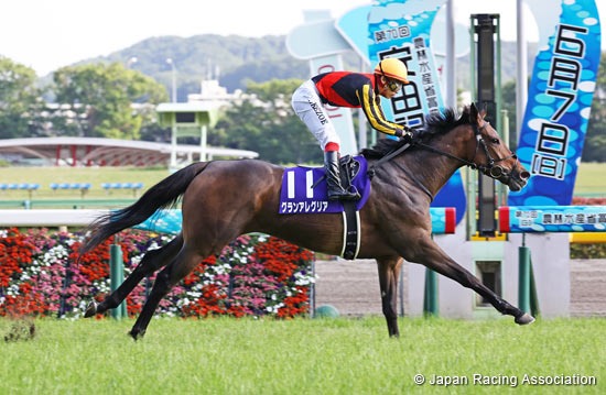 Gran Alegria (JPN) ridden by Kenichi Ikezoe. Photo by the Japan Racing Association.