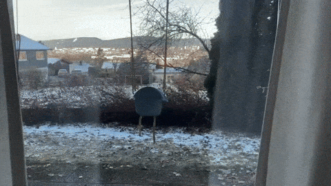 gif-c1-bmzzmr-from-the-recording-o-2025-05-07-120041