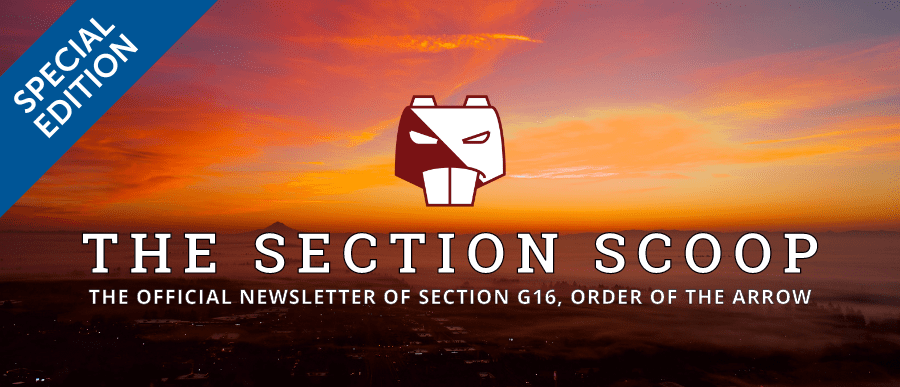 The Section Scoop
