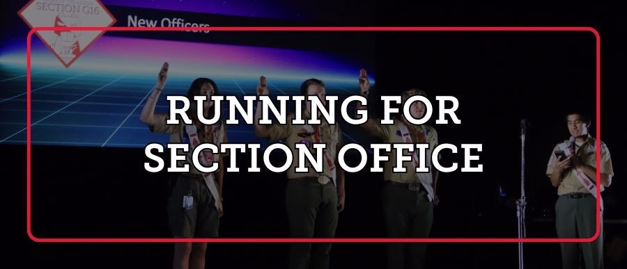 Running for Section Office