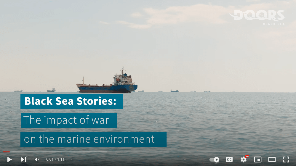Black Sea Stories: The impact of war on the marine environment