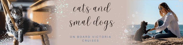 Cats and small dogs at sea