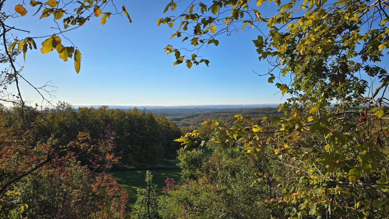 Kids at the Tiffin Nature School