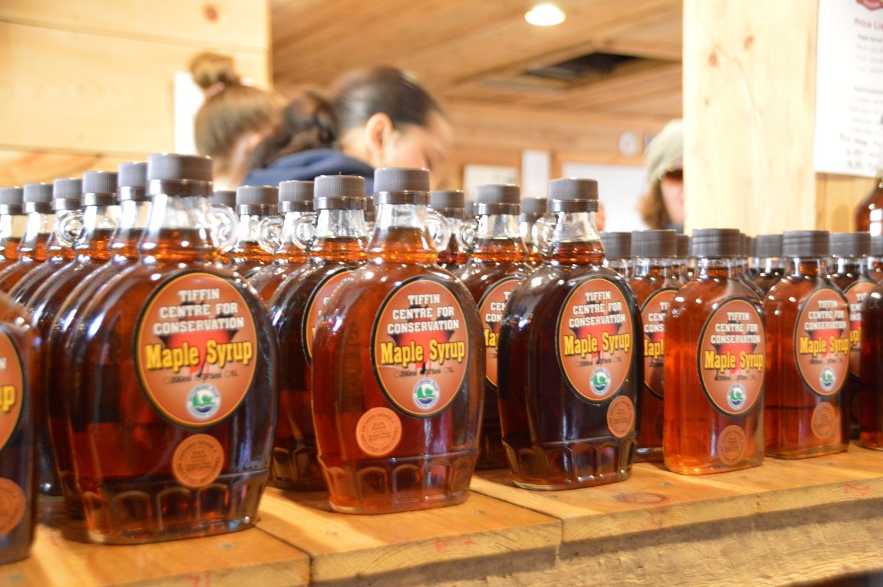 Tifin maple Syrup