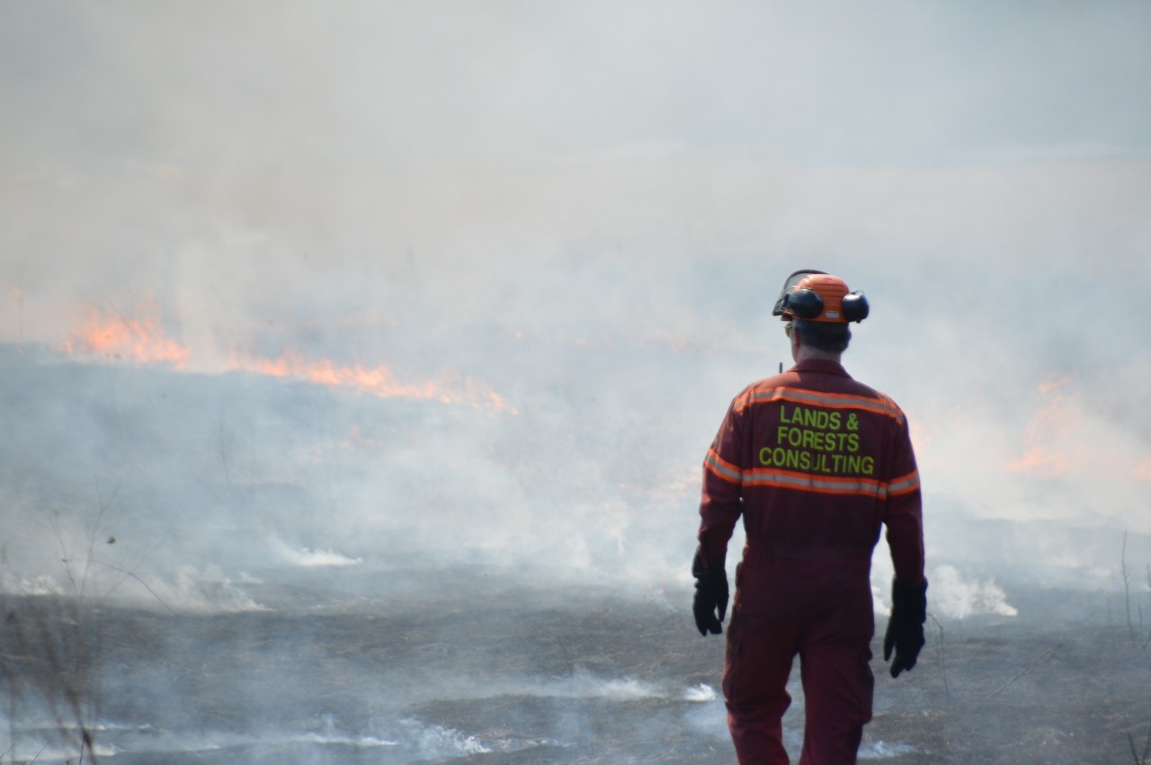 A member of Lands and Forests Consulting watches a controlled grass fire