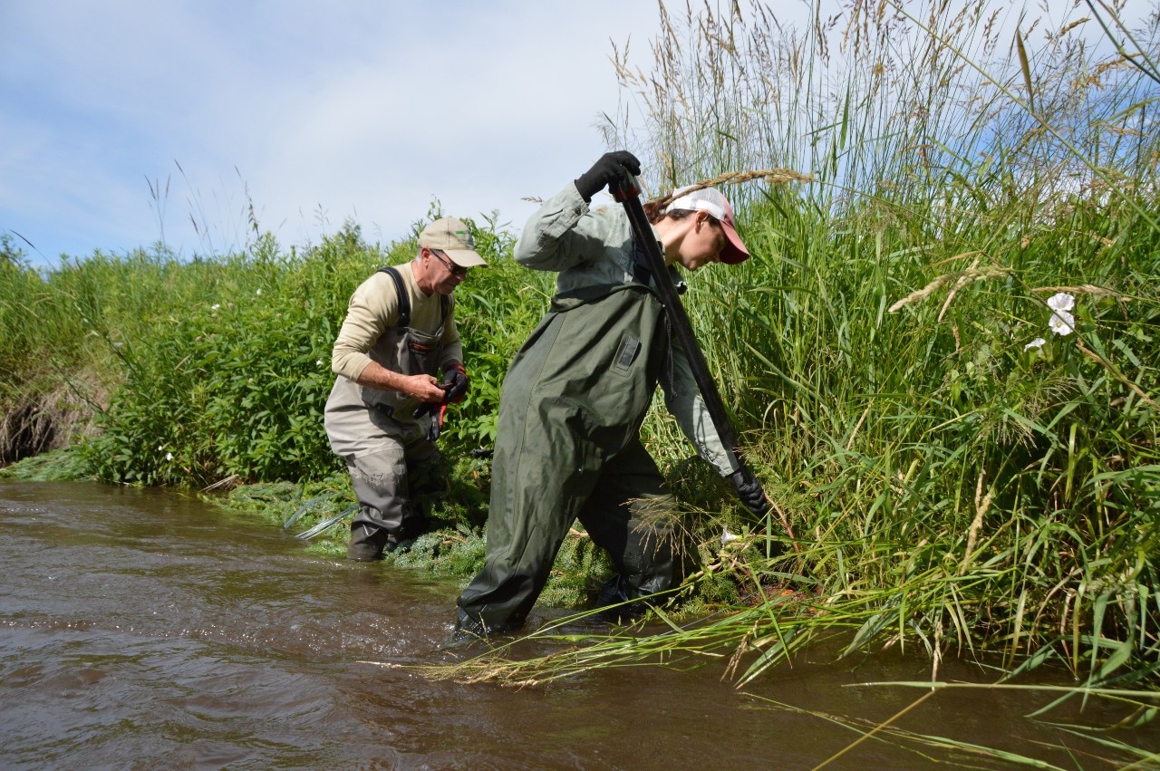 NVCA staff and a volunteer install revetments in a portion of the Nottawasaga river