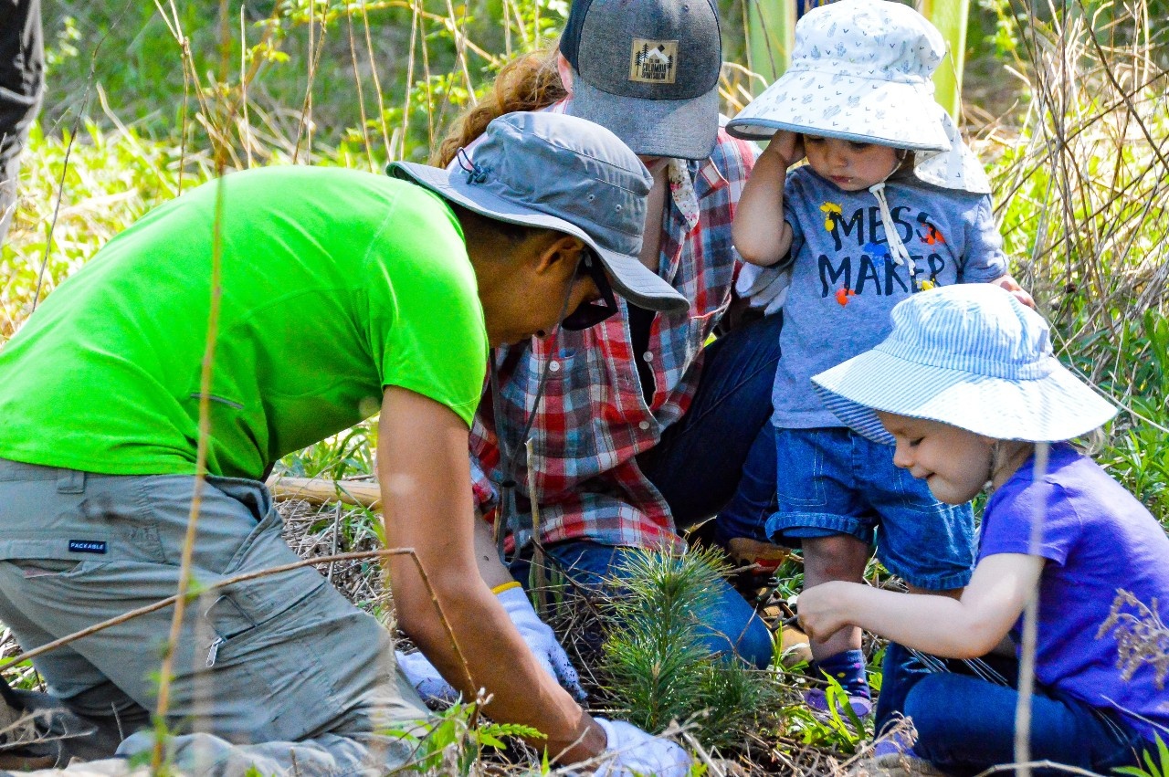 A volunteer plants a tree with the help of some children at an NVCA tree planting event