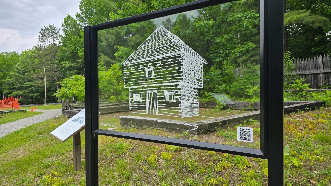 A close up of a tick