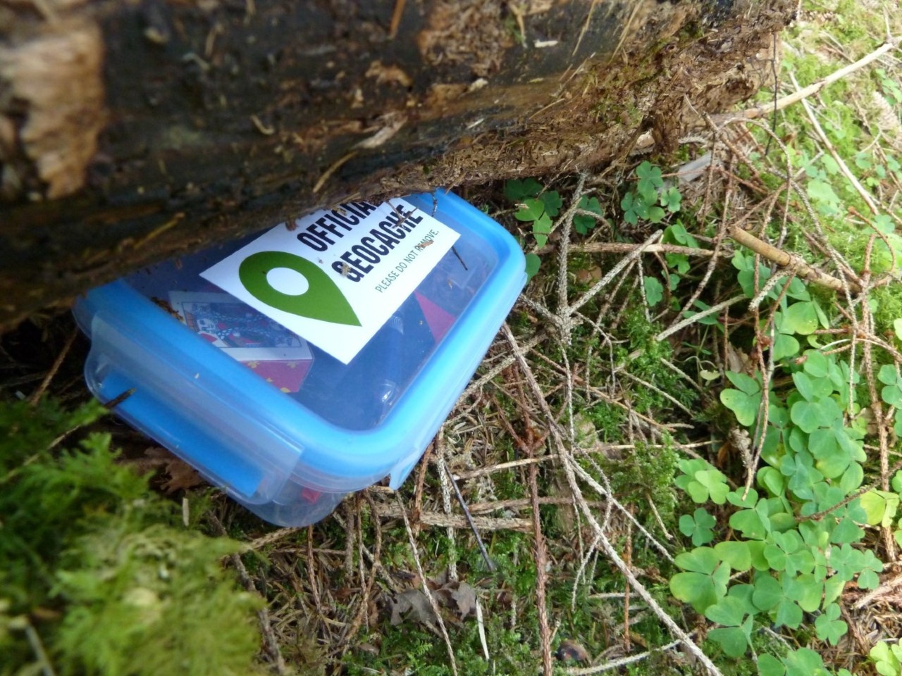 A geocache at an NVCA conservation area
