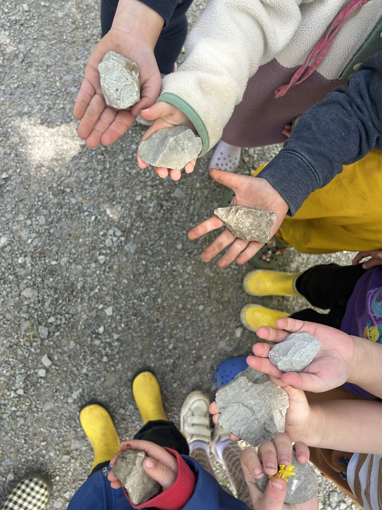 Photo of the Barrie Fair