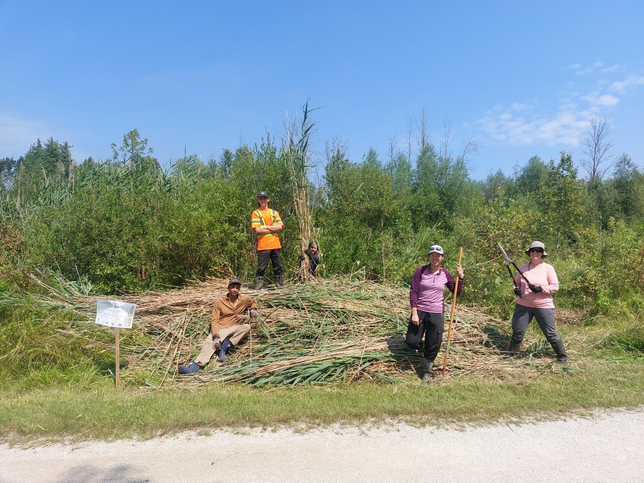 A close up of a tick
