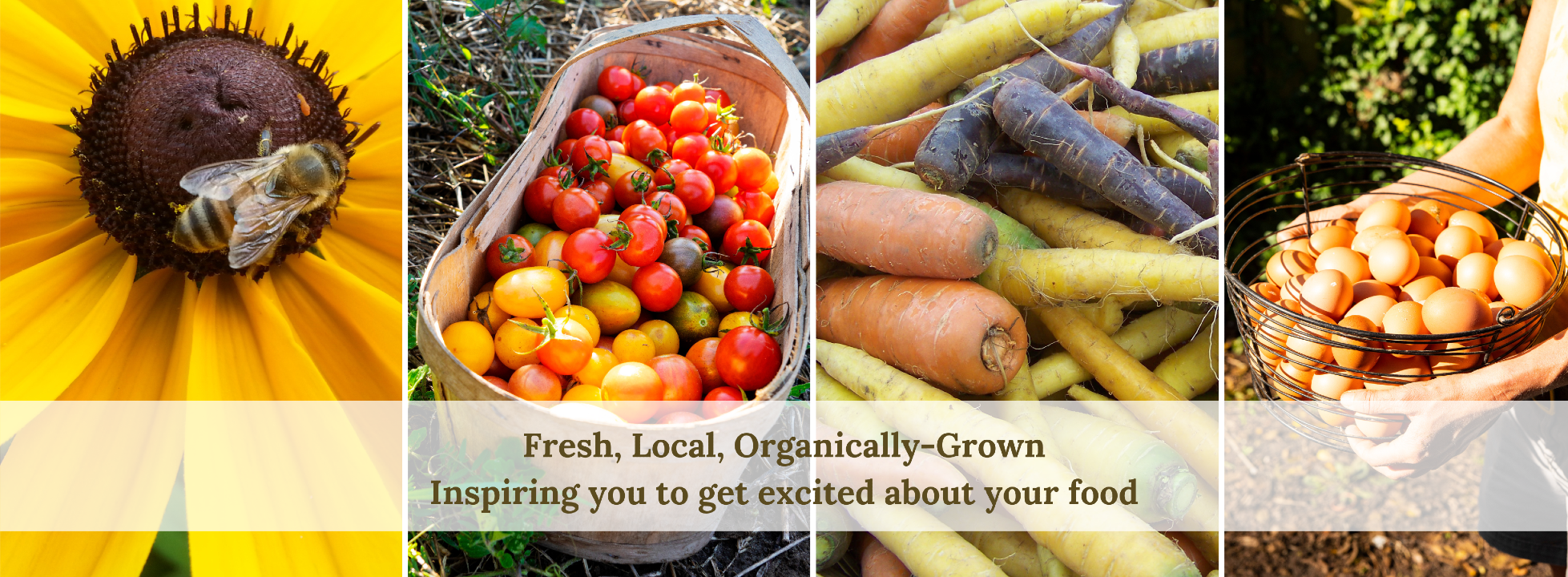 Farm banner with all the awesome veg