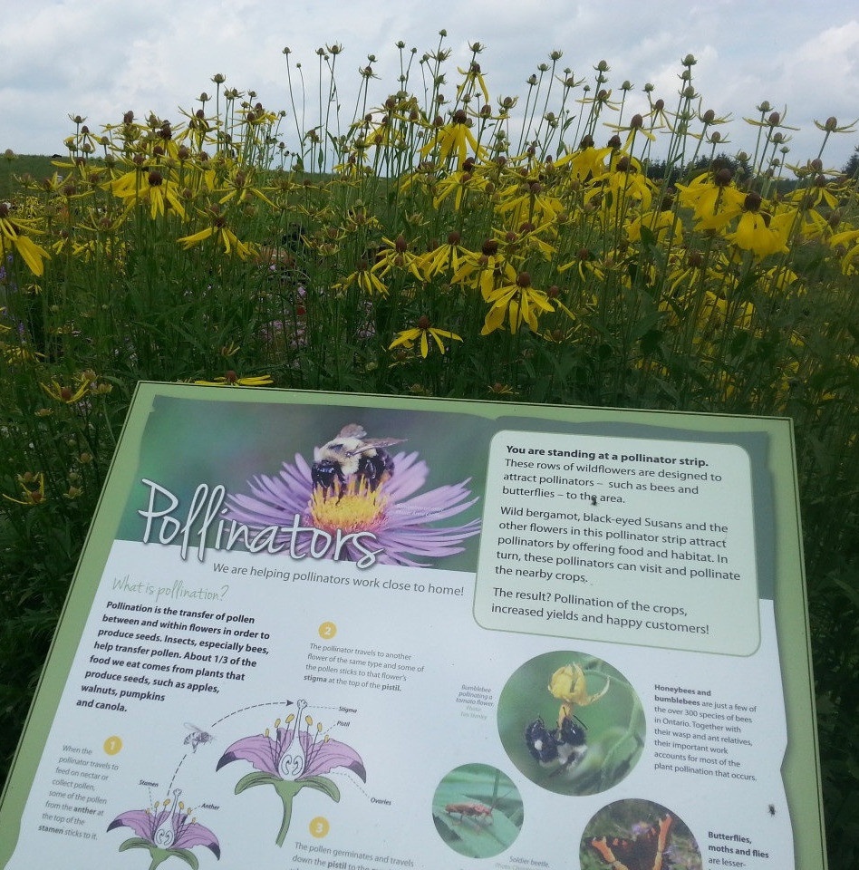 Sign at our pollinator strip