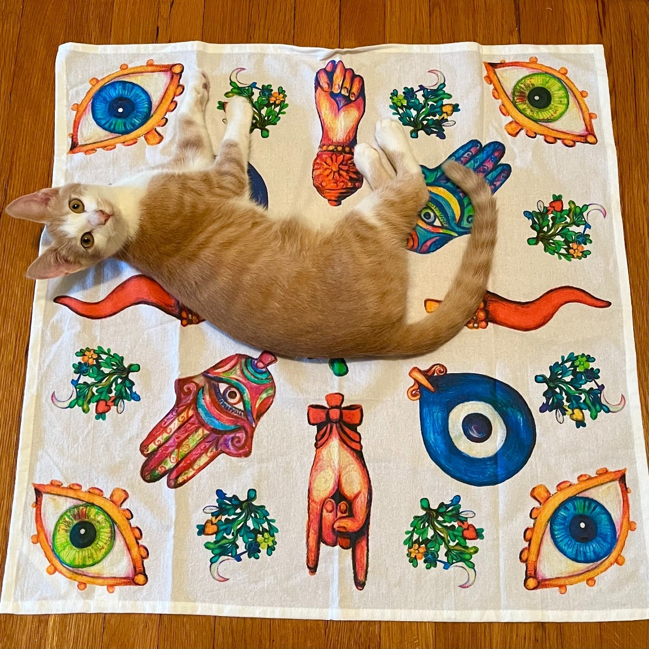 Jasper helping to model the new teal towel design