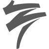 Flair Website
