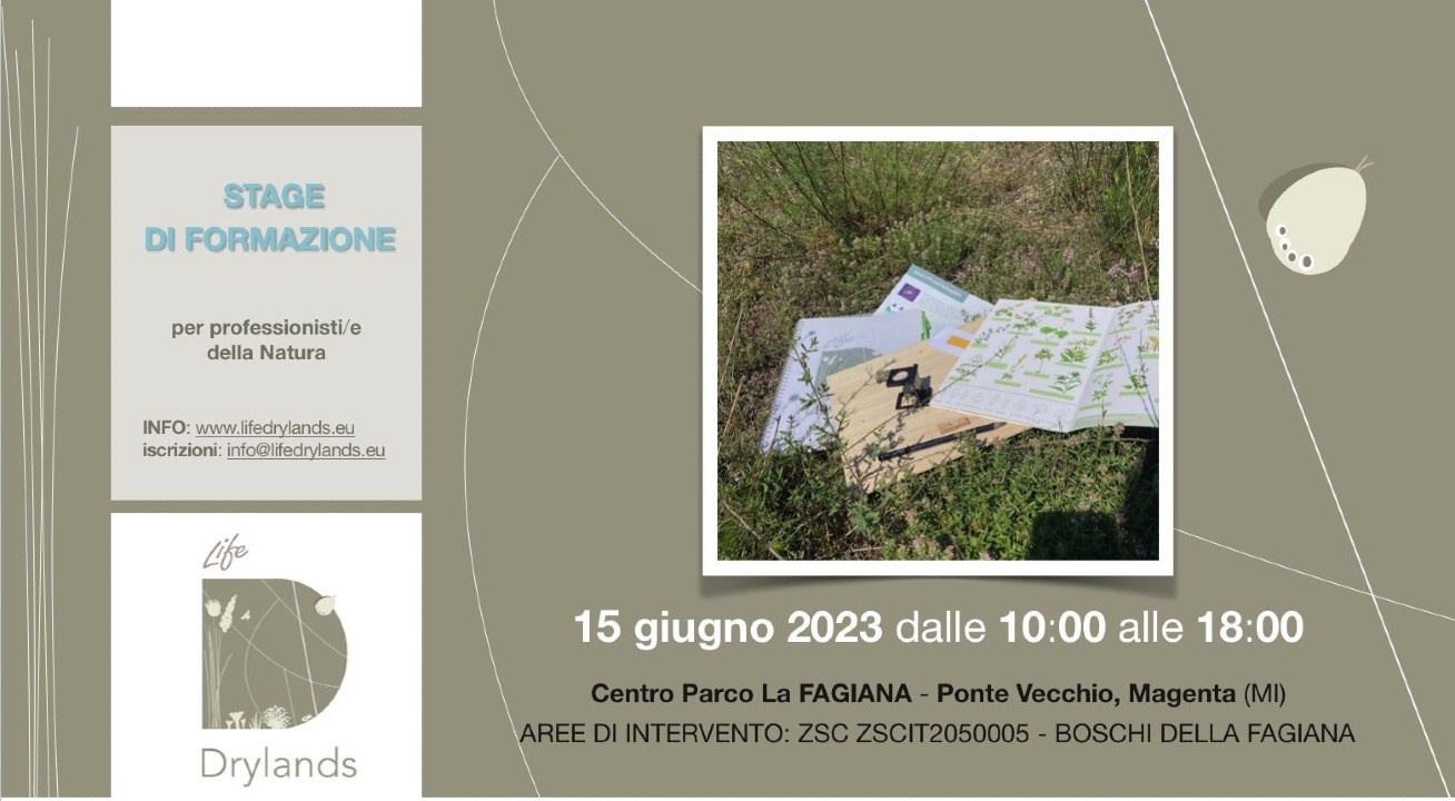 Brinzio