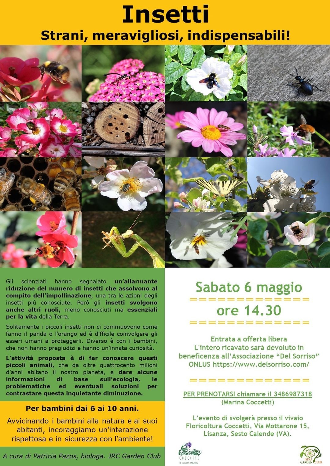 Anfibi minacciati