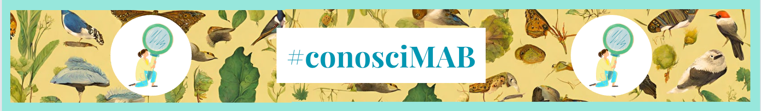 #conosciMAB