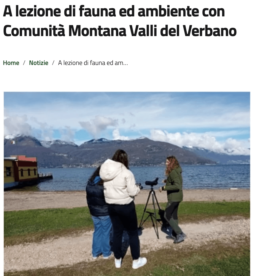 Image description