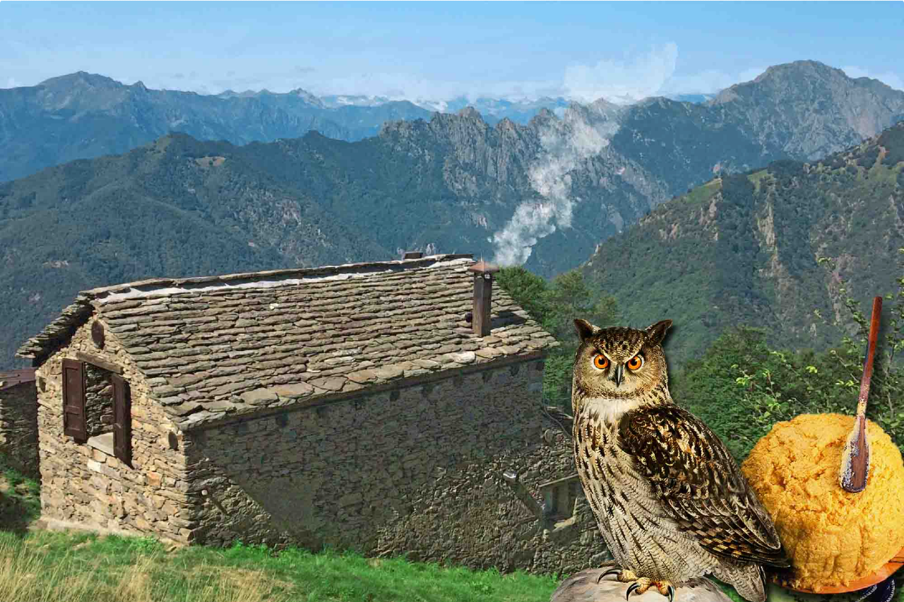 Image description