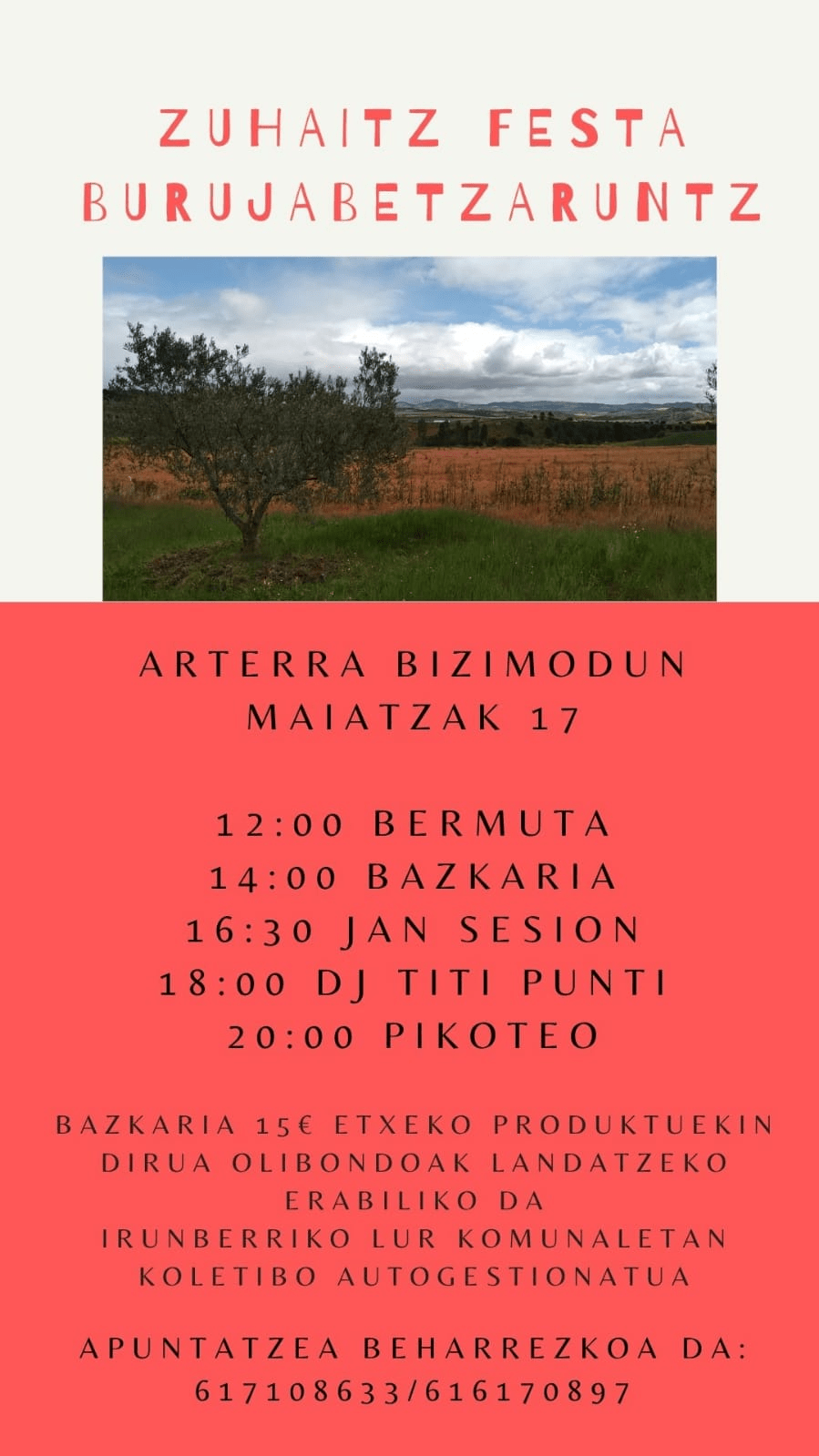 cartel informativo de la fiesta del arbol