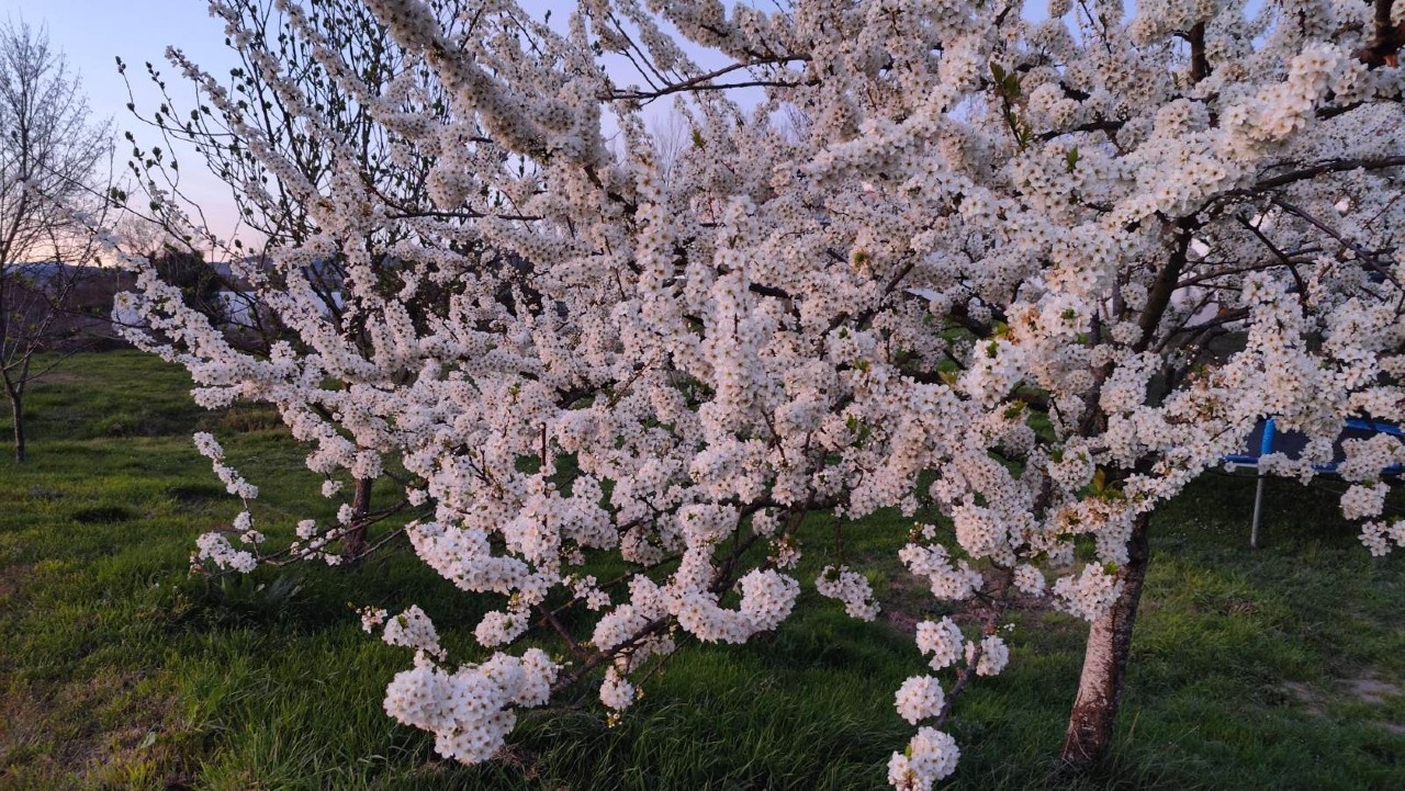Nueva taberna de Arterra limpia y preparada