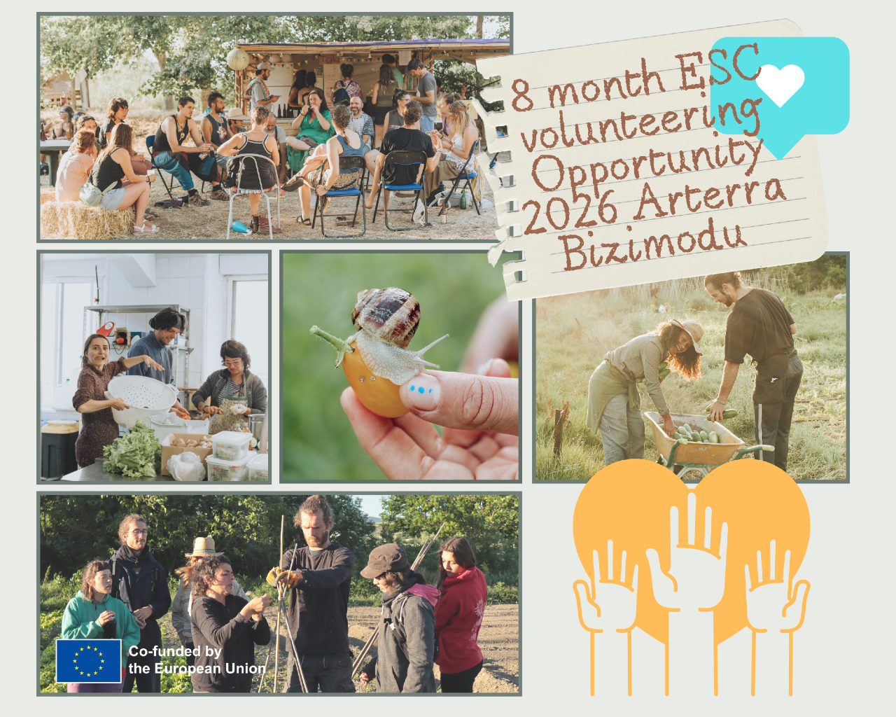 Collage de fotos promocion ESC 2026. 8 meses de voluntariado en Arterra Bizimodu