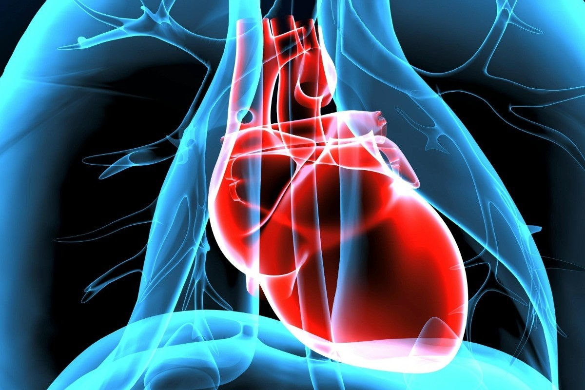 Missing by omission: the hidden heart of cardiovascular inequity in the UK.