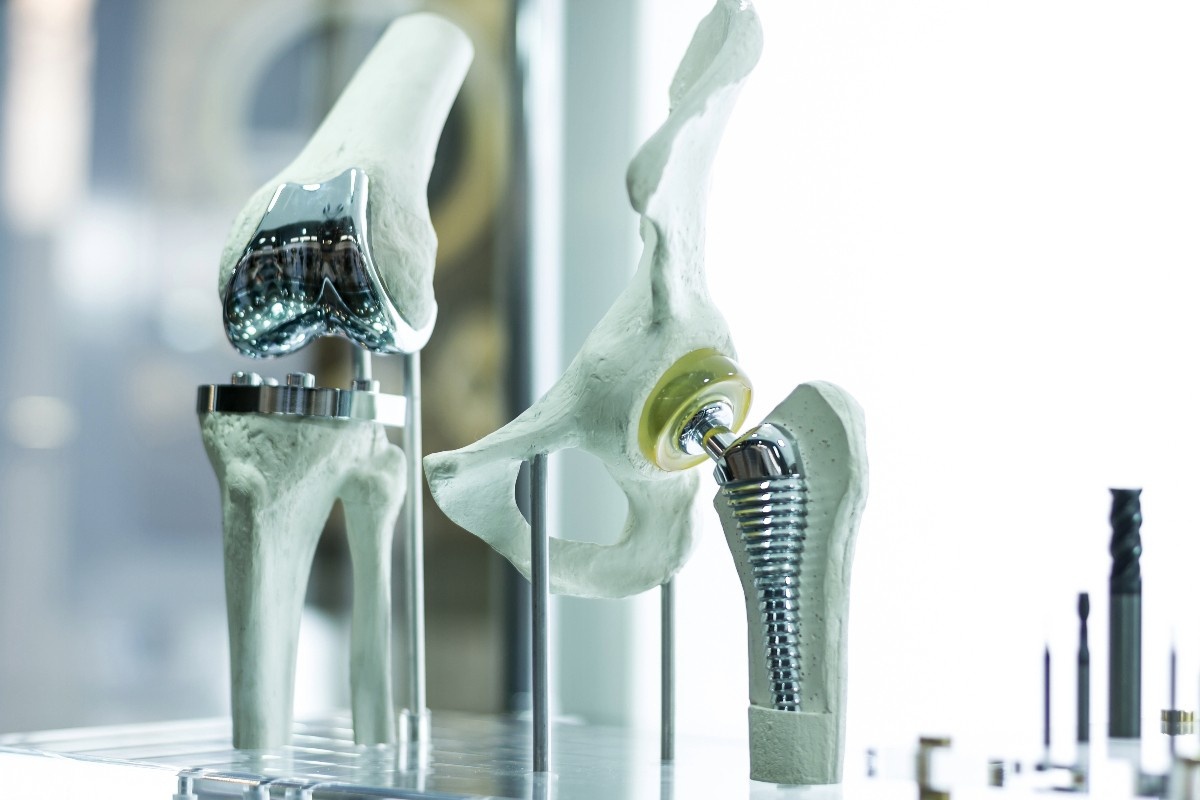 Close up of model skeletal knee and hip joints