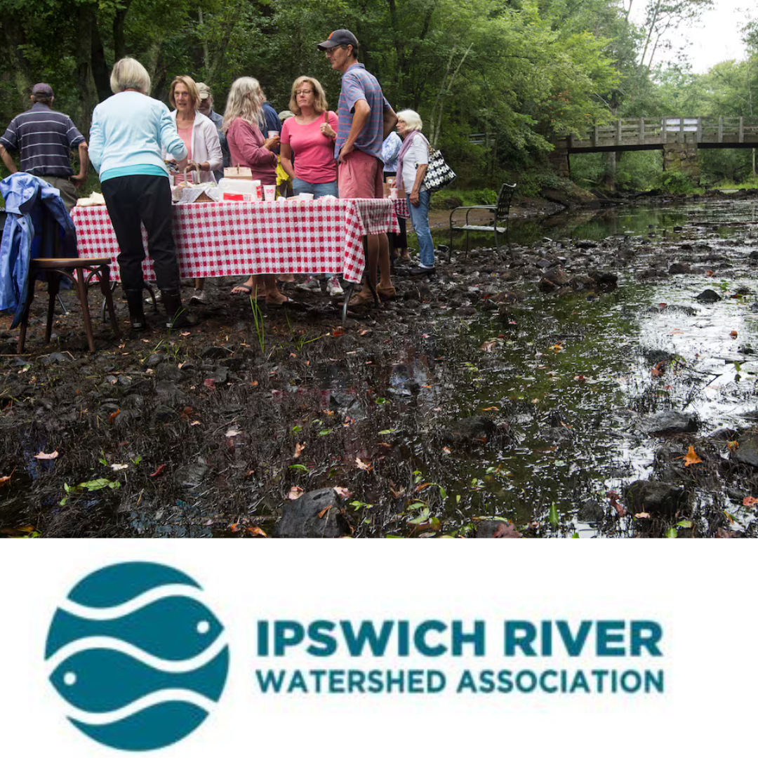 Photo of a group of people at a picnic table in the middle of the Ipswich River during a drought.