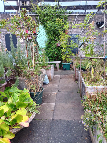 Photo of a community garden
