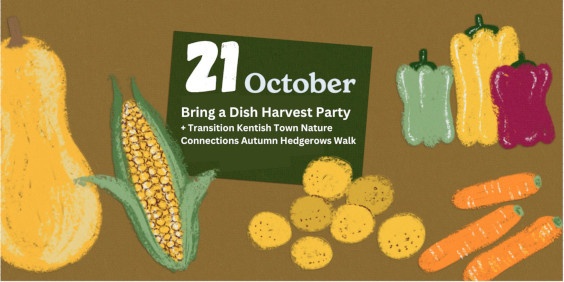 The poster for the Harvest Party