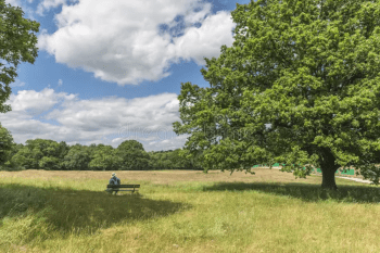 Photo of Hampstead Heath
