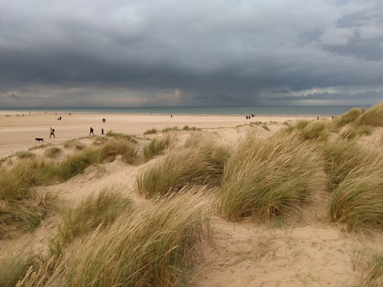 New Writers Sense of Place Competition