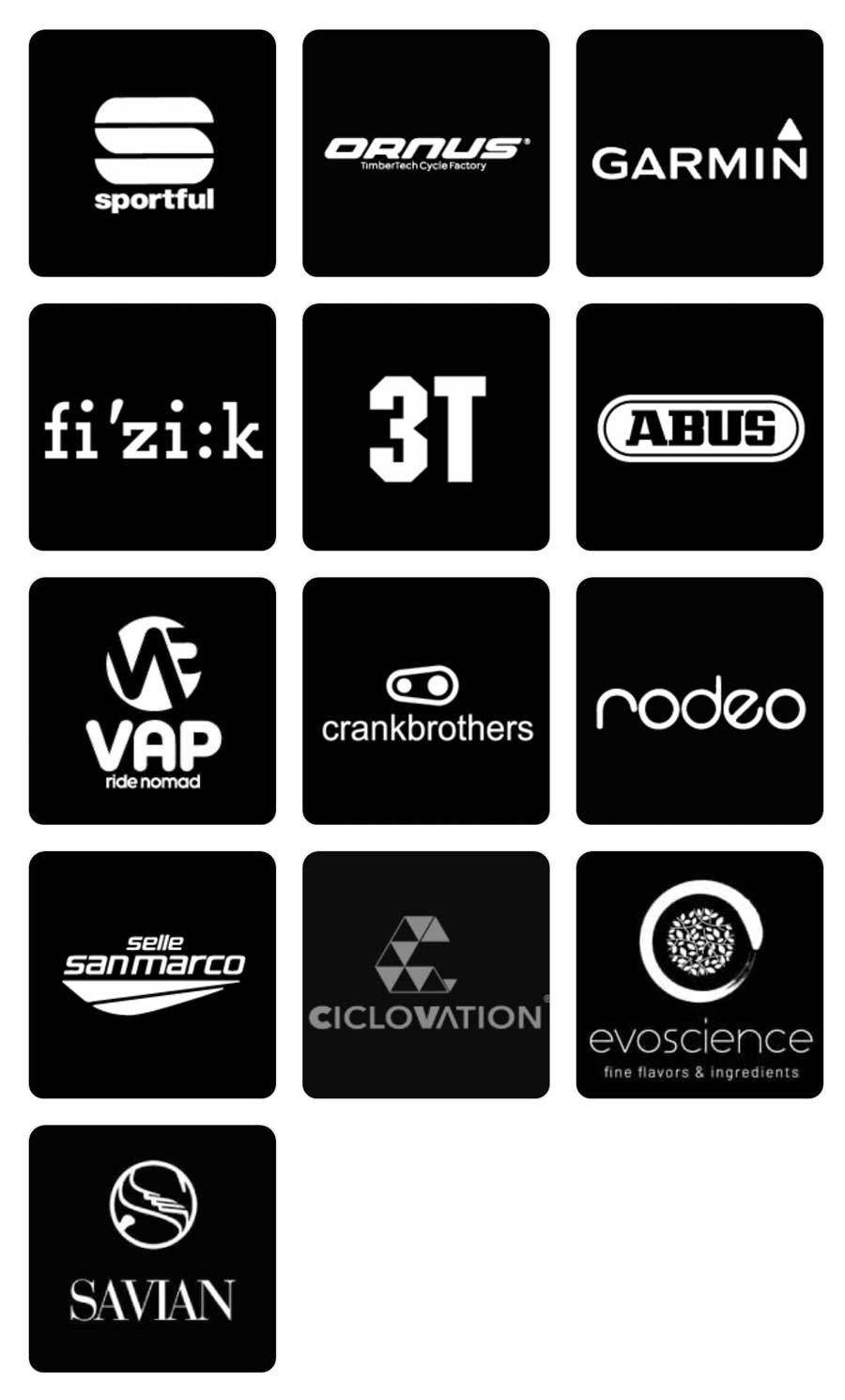 Sponsor link on website