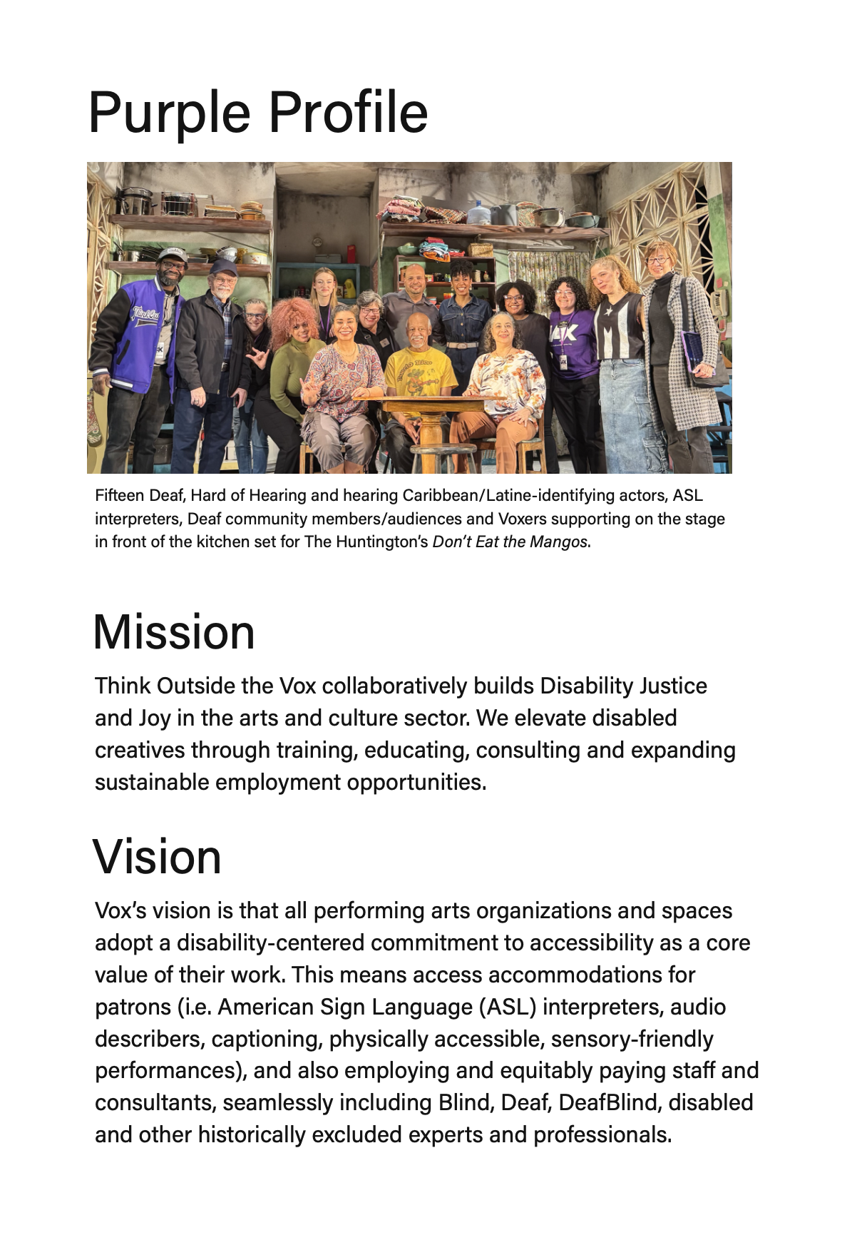 Purple Profile page, Vox's mission and vision.