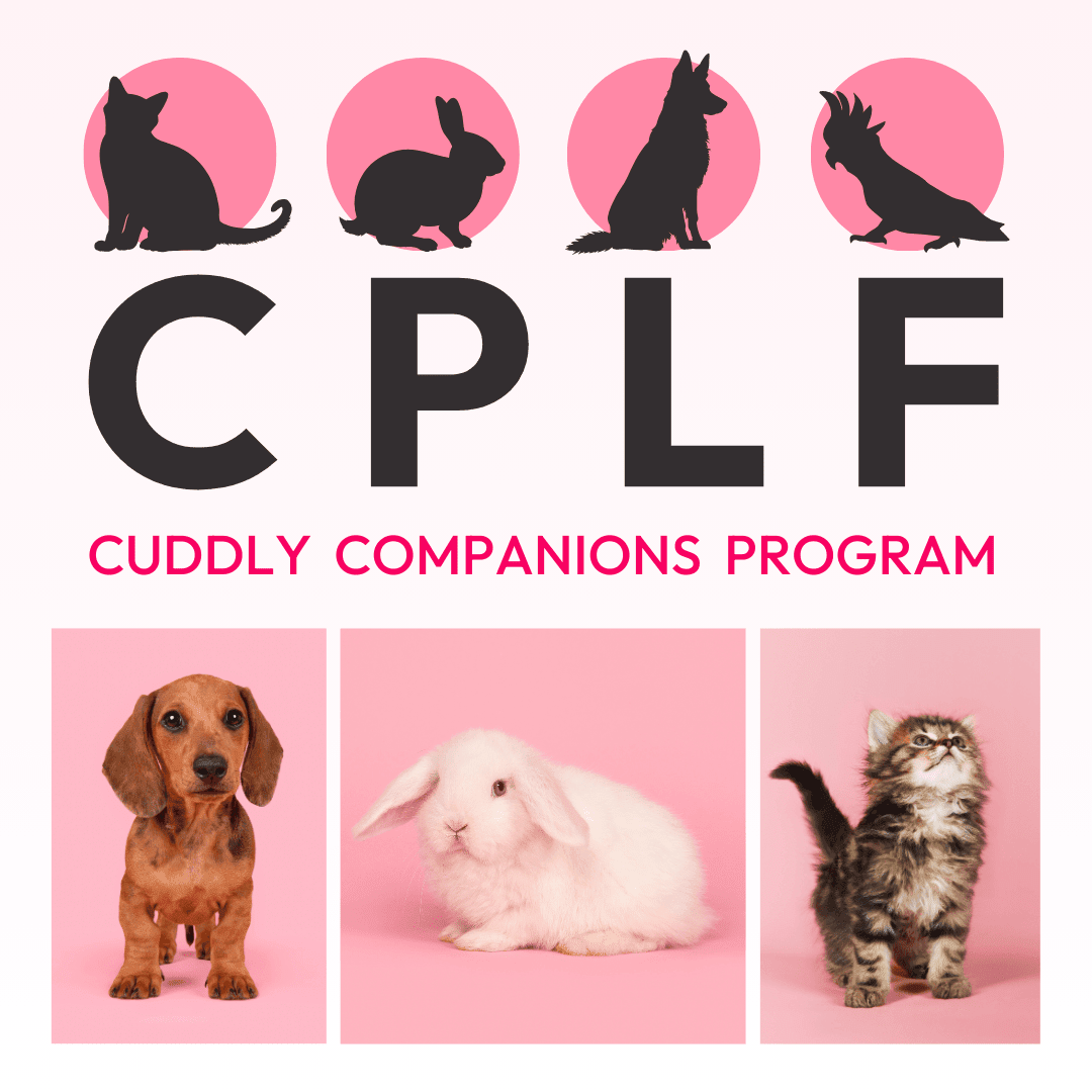 Cuddly Companions