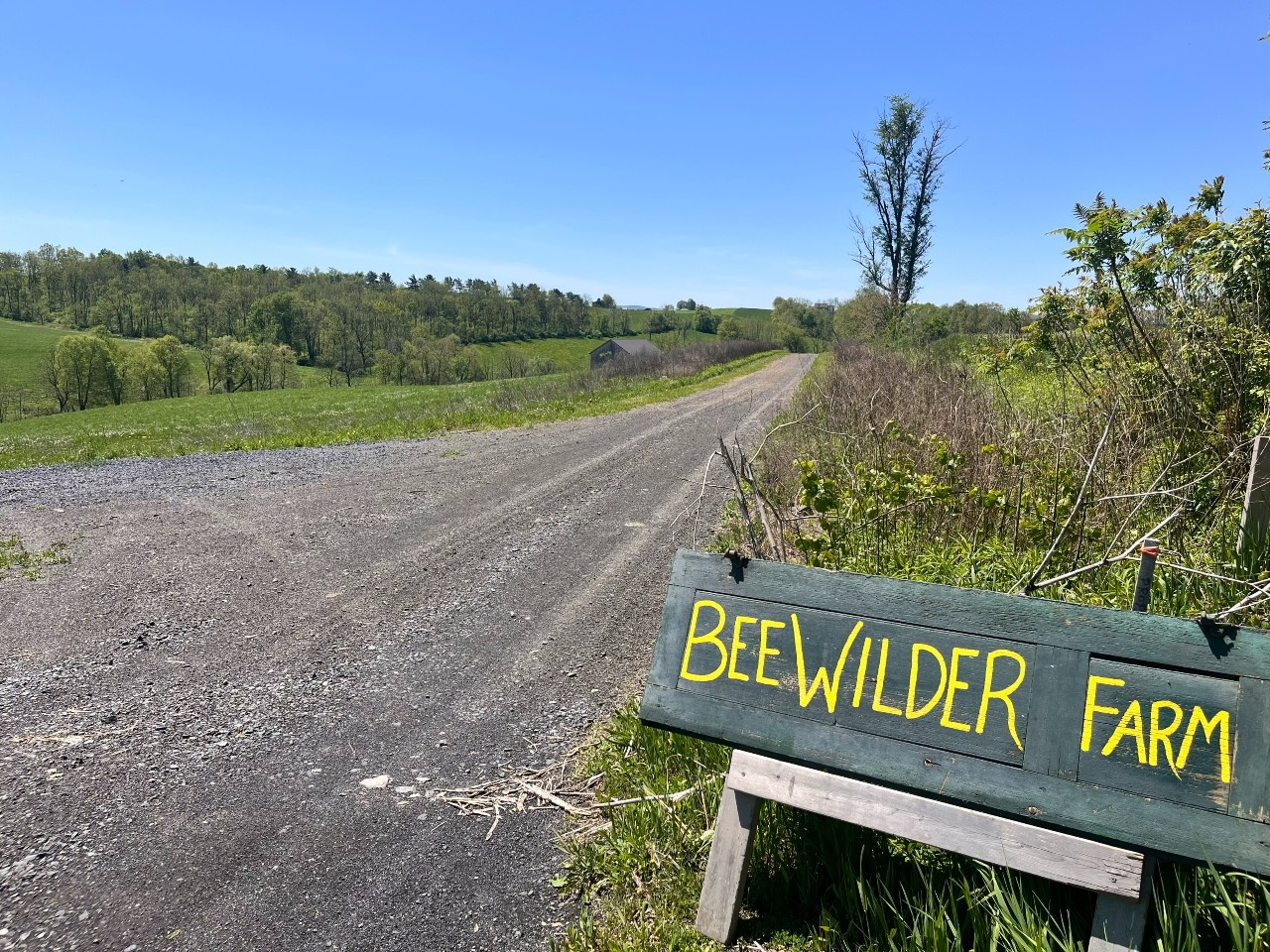 Visiting Churchtown Dairy with Jennie and Jean-David.
