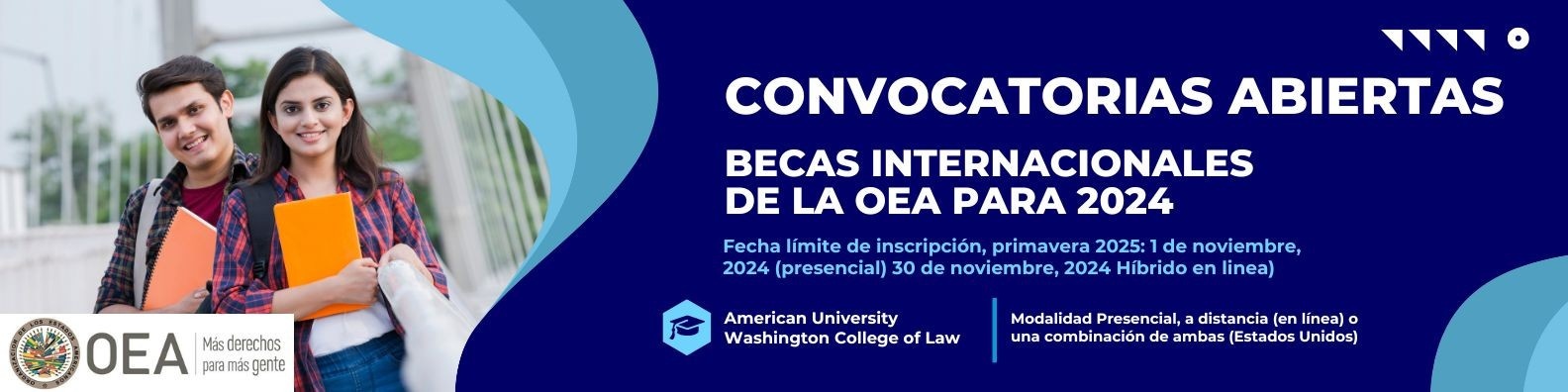 Descripción de la imagen