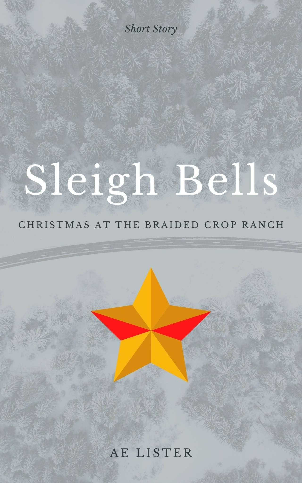 Title over image of snowy wood with orange star graphic below.
