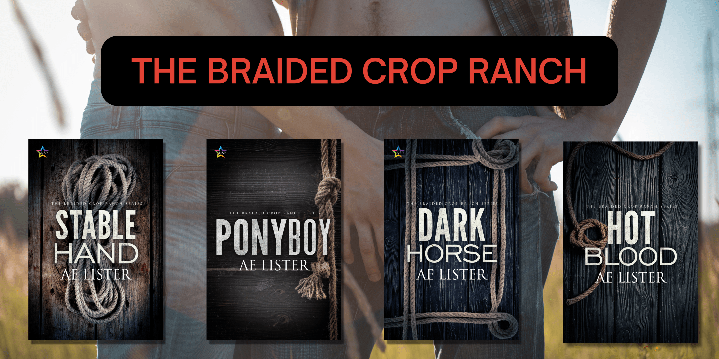 Covers of the four novels in the Braided Crop Ranch series.