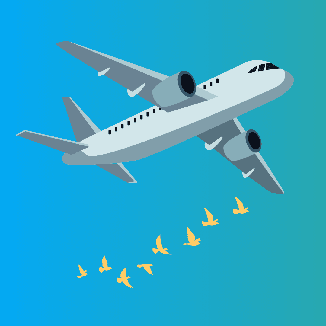 Blue gradient sky with a plane and birds soaring