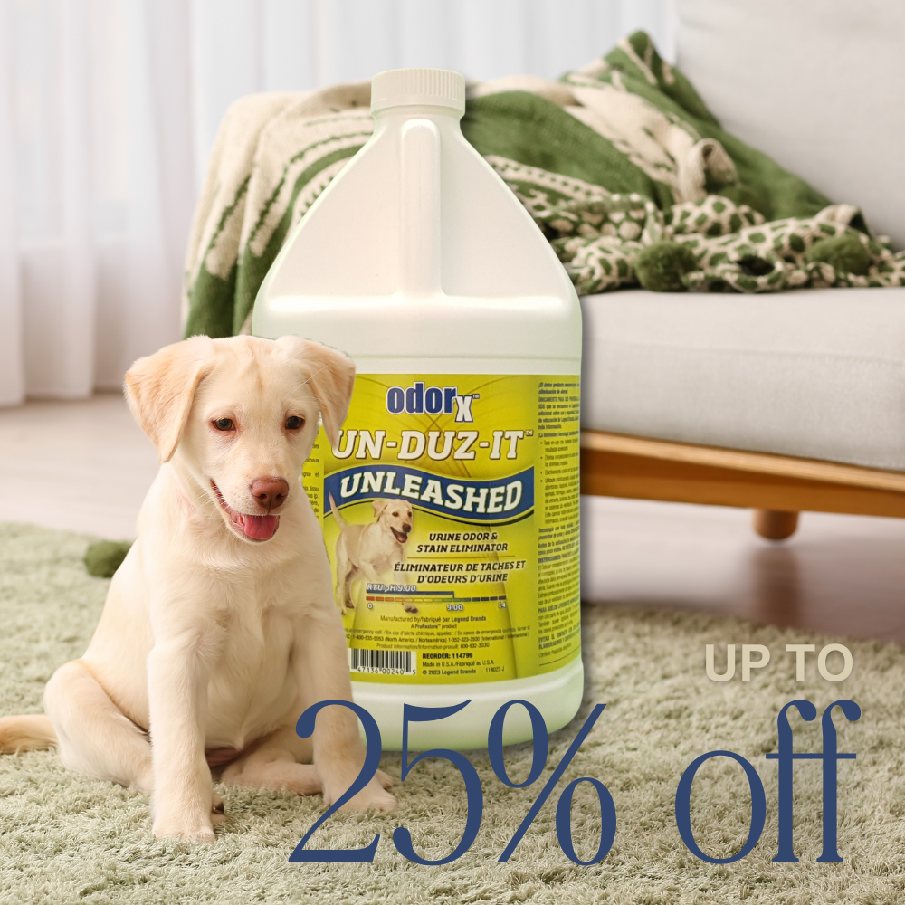 Ascend Foundation Training Courses