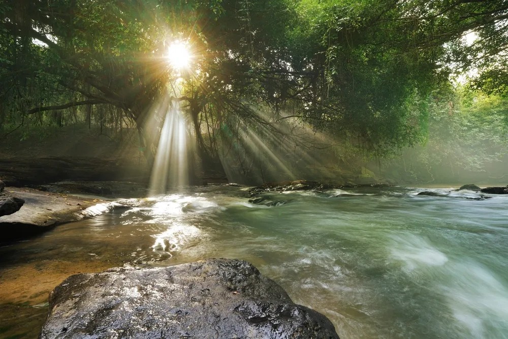 Fighting for Our Fathers