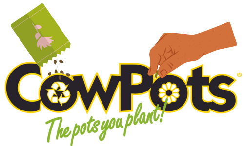 cowpots logo with shark image